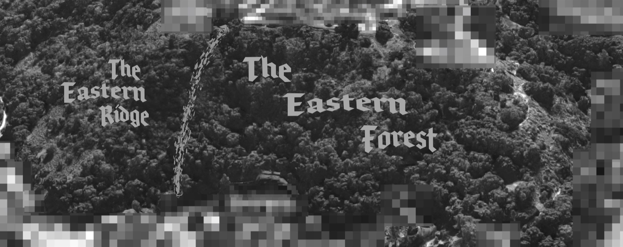 The Eastern Forest